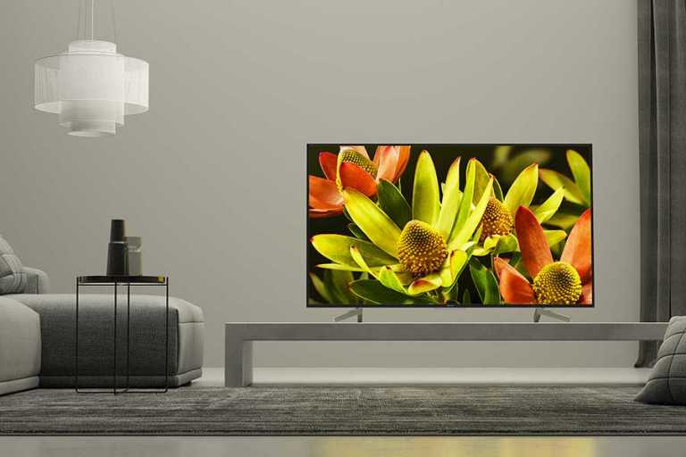 sony_XF83xx