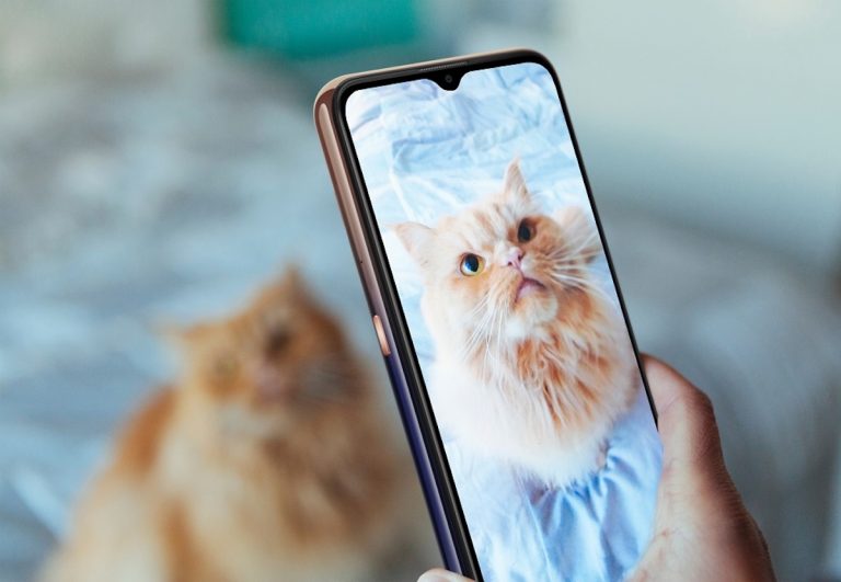 Wiko celebra la giornata del gatto con i consigli per fotografarlo al meglio