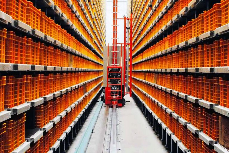 logistica italia consumatore igizmo