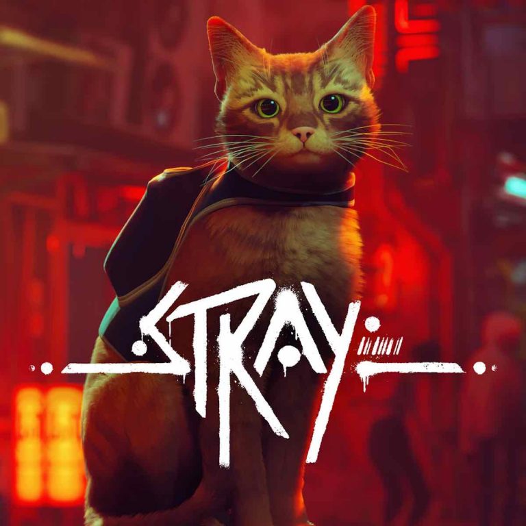Stray, il gatto randagio sfida un mondo di robot su Ps4, Ps5 e Pc