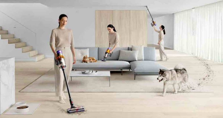 dyson animali domestici